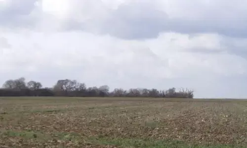 Rajamahendravaram: WRD to conduct survey on ‘Ava’ lands in Korukonda