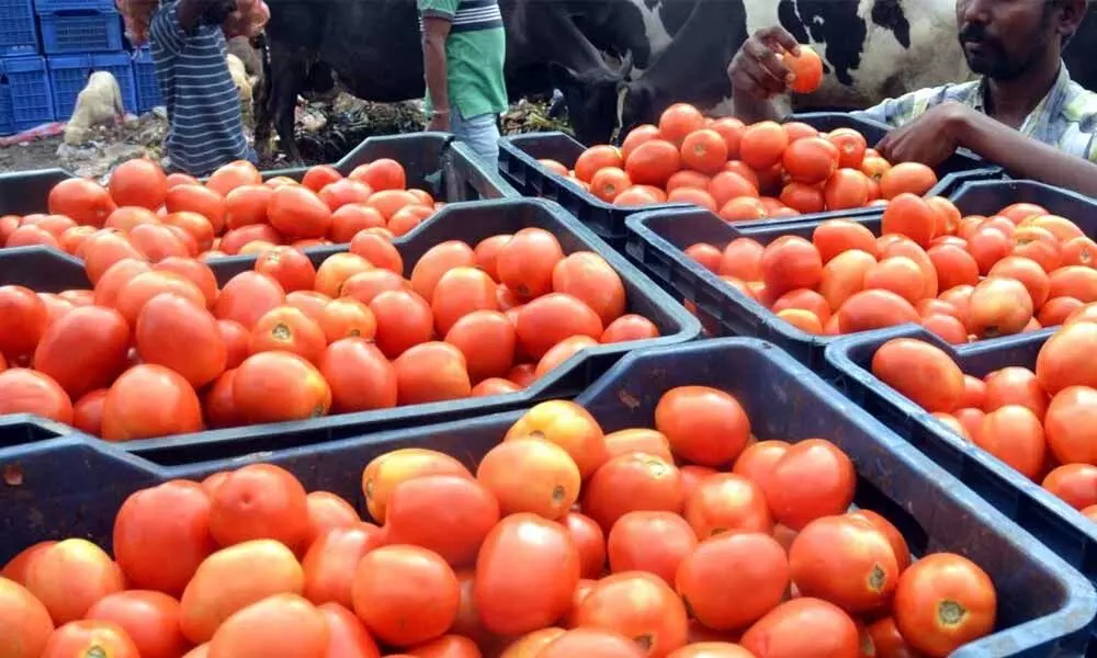 Tomato prices soar to Rs 60 per kg in Hyderabad