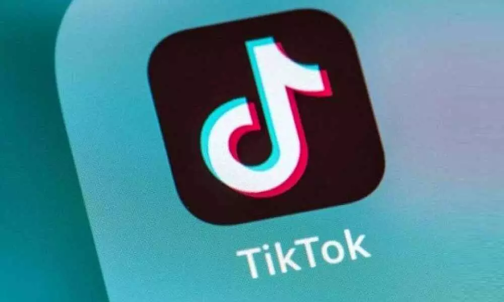 Silicon Valley wants the US to follow India in banning Chinese app TikTok: Expert