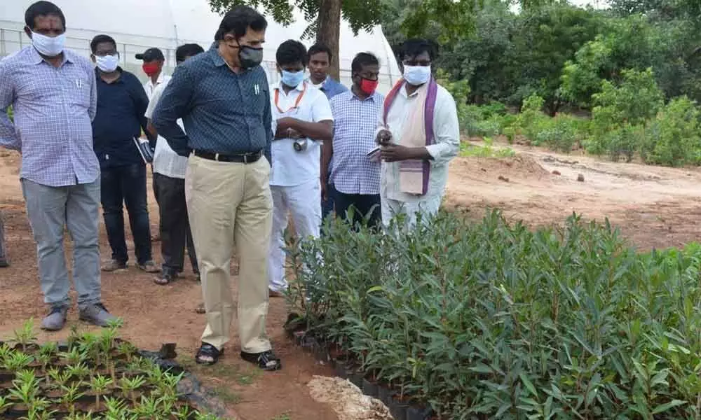 Srisailam Temple EO KS Rama Rao inspecting horticulture garden on the temple premises on Friday
