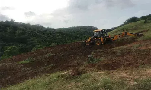 Miyawaki forests to bring pristine green glory to city