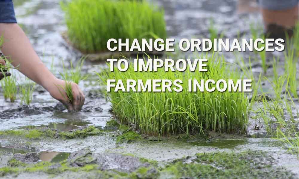 Improving Farmers Income: Consumers suggest changes to 3 Central ordinances