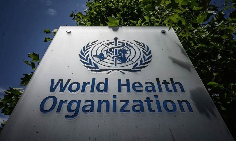 World Health Organization Says First Alerted to Virus By Its Office ...