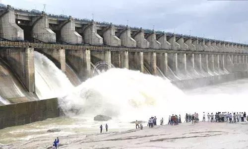Inflows in Godavari increase as Babli project gates open