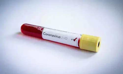 36 new corona cases in BSF