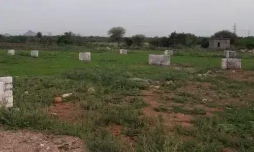 Speed up survey on land grab