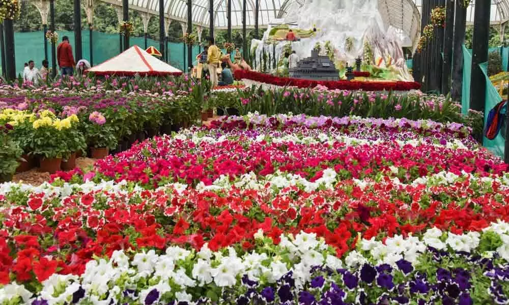 Lal Bagh flower show in Bengaluru