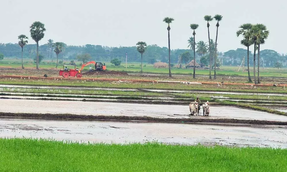Andhra pradesh Government spent only 37% of agriculture budget last year
