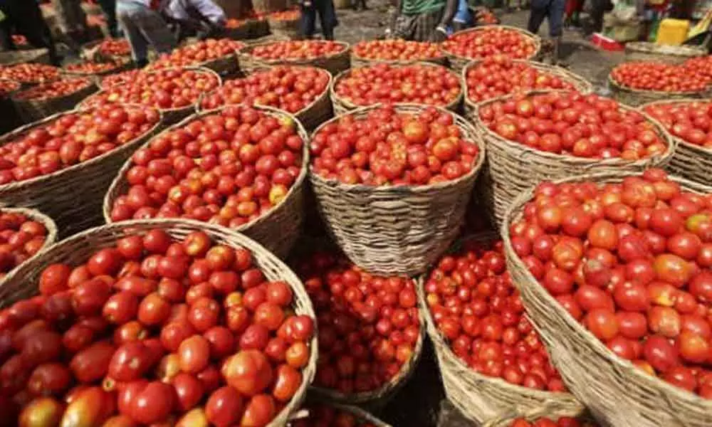 Tomato unaffordable to common man