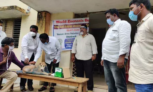 Veterinary doctors giving anti-rabies vaccine to a dog in Bhaddrachalam on Monday, on World Zoonoses Day