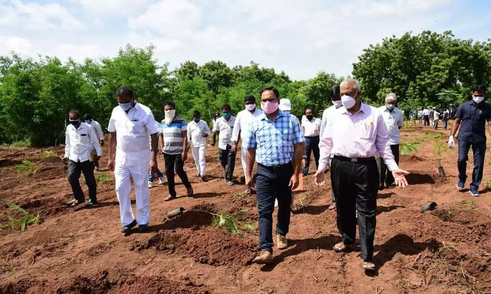 District Collector K Shashanka inspecting the area in Satavahana University selected for developing as urban forests
