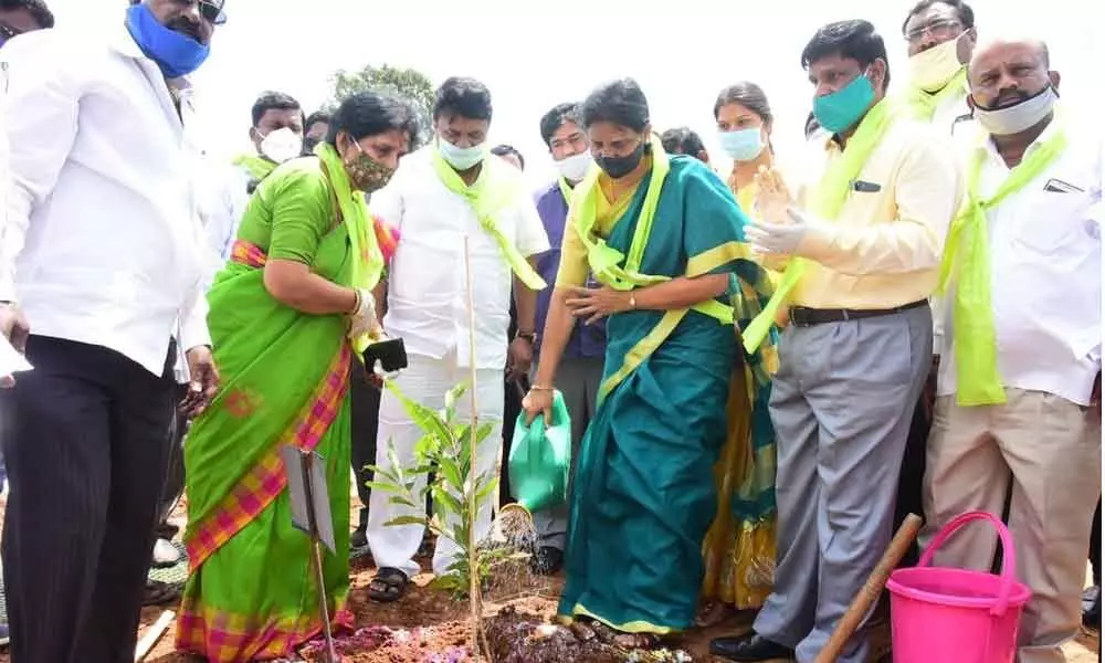 Ministers Talasani Srinivas and P Sabitha Indra Reddy plant saplings at Maheshwaram