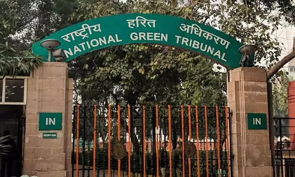 NGT tells 2 firms to deposit money with Collectors