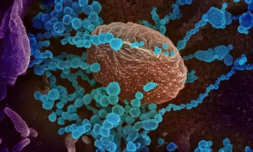 Scientists warn of potential wave of Covid-linked brain damage