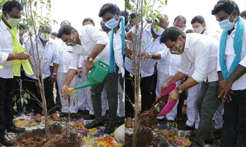 Enhance greenery in Telangana: KTR