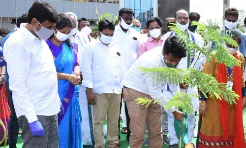 Vijayawada: Plantation drive to make city green begins