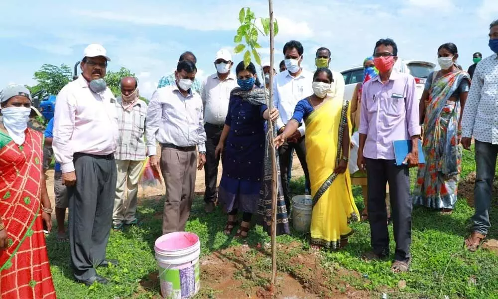 CMO officials Bhupal Reddy and Priyanka Varghese inspecting a planted sapling along Hyderabad-Vijayawada National Highway