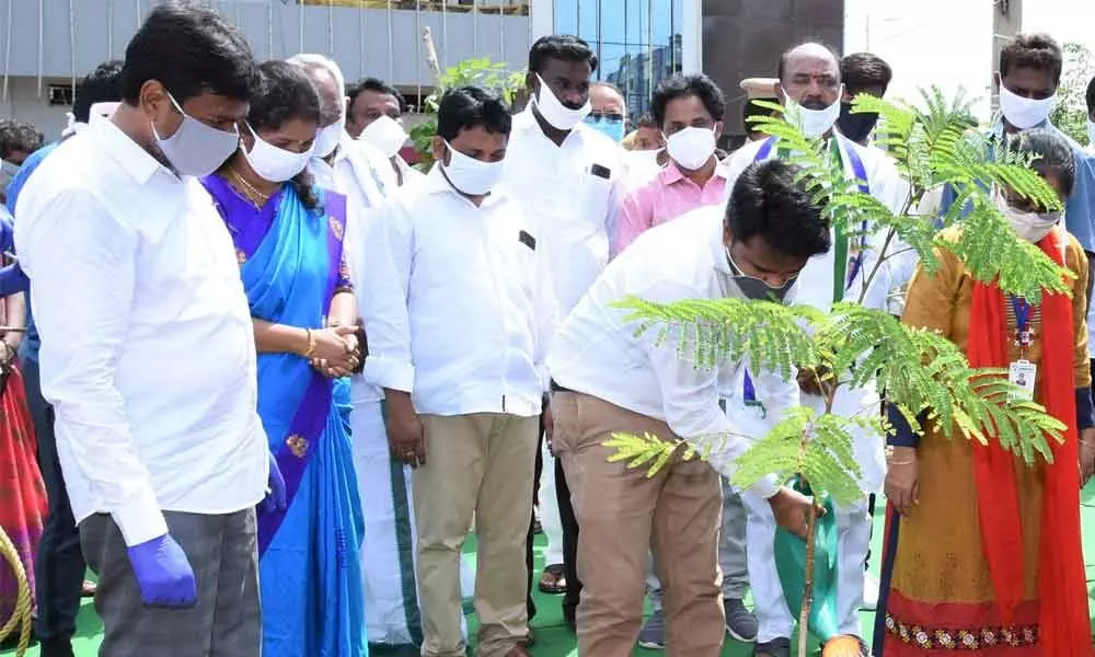 Vijayawada: Plantation drive to make city green begins