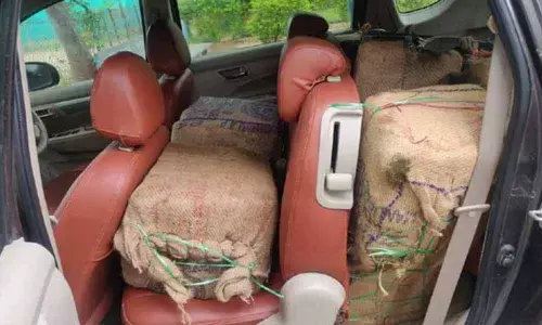 Marijuana worth Rs 40 lakh seized in Bhadradri