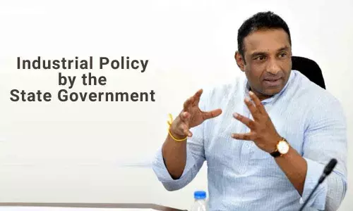 AP dilly-dallying over industrial policy