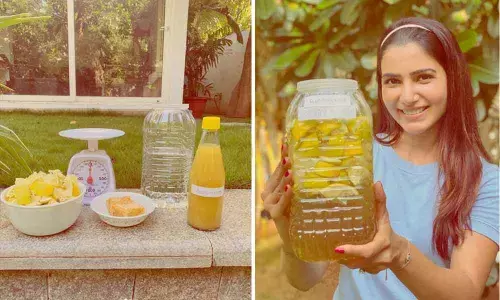 All About Samantha’s Fun Learning Technique Of This Science Experiment