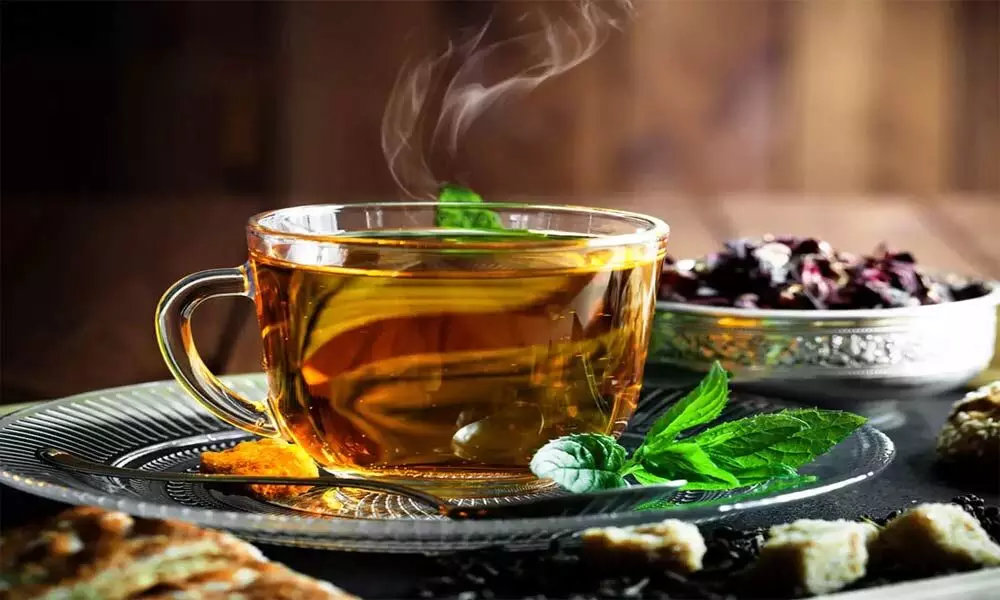 Himachal scientists develop immunity booster herbal tea