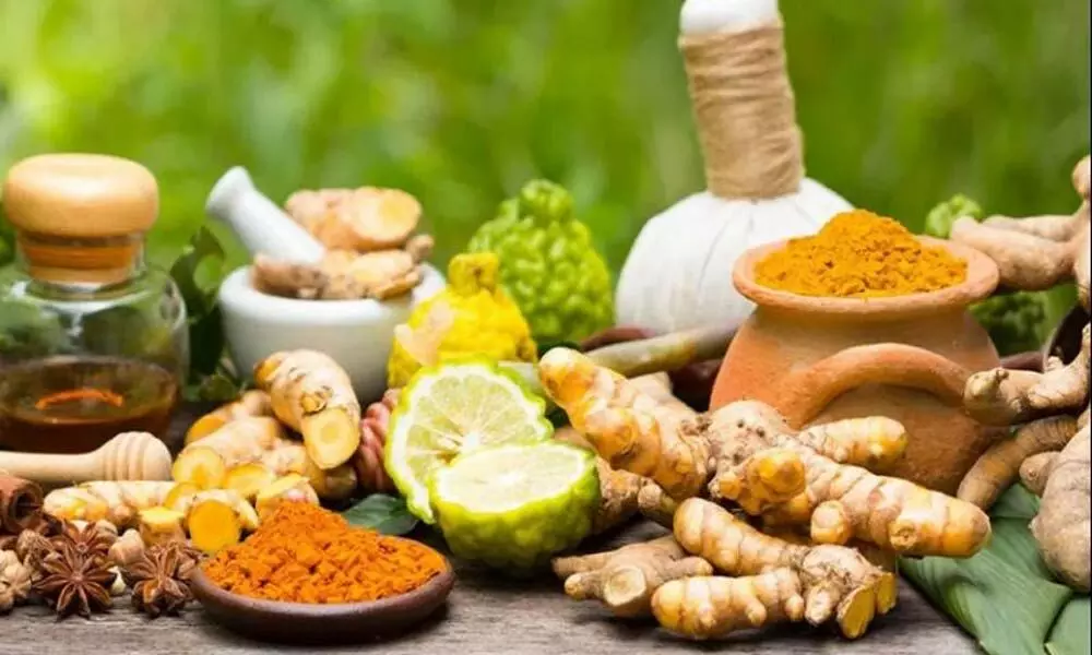 Ayurveda for treating Covid-19 patients? India, US to initiate joint clinical trials for Ayurvedic formulations