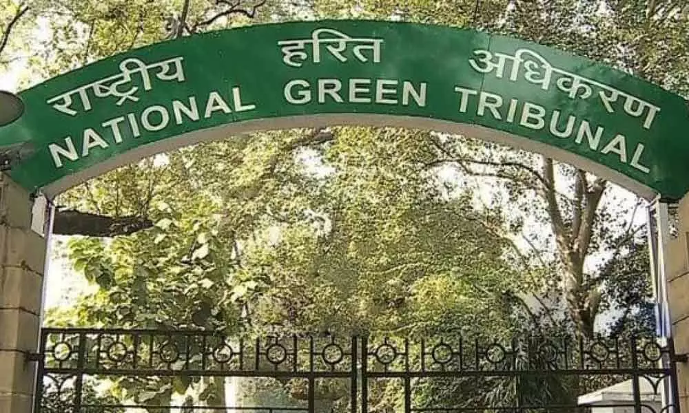 NGT angry over Yamuna pollution