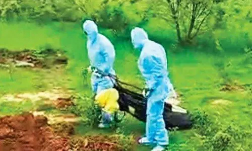 Nellore: RDO to inquire heartless burial of Covid-19 victims