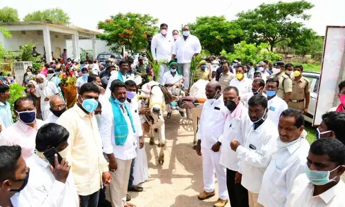 Ministers S Niranjan Reddy and G Kamalakar riding on a bullock cart at Agriculture Research Centre in Karimnagar