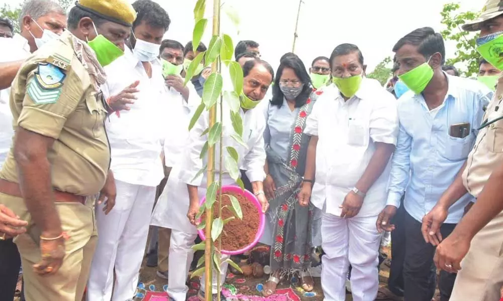 Forest and Environment Minister Allola Indrakaran Reddy planting a sapling at Kowtha B village on Saturday