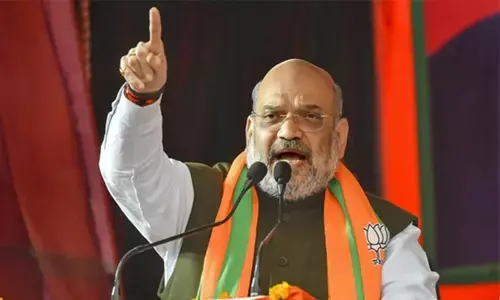 India leading successful fight against Coronavirus: Amit Shah