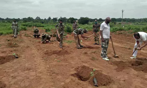 CRPF plants 2,000 trees