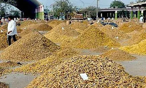 Turmeric brought to Nizamabad Agricultural Market yard (File photo)