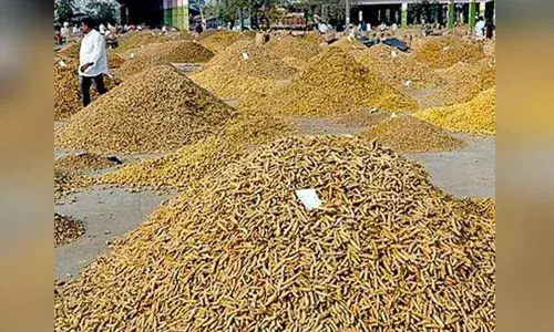 Nizamabad: Agricultural market to down shutter from today