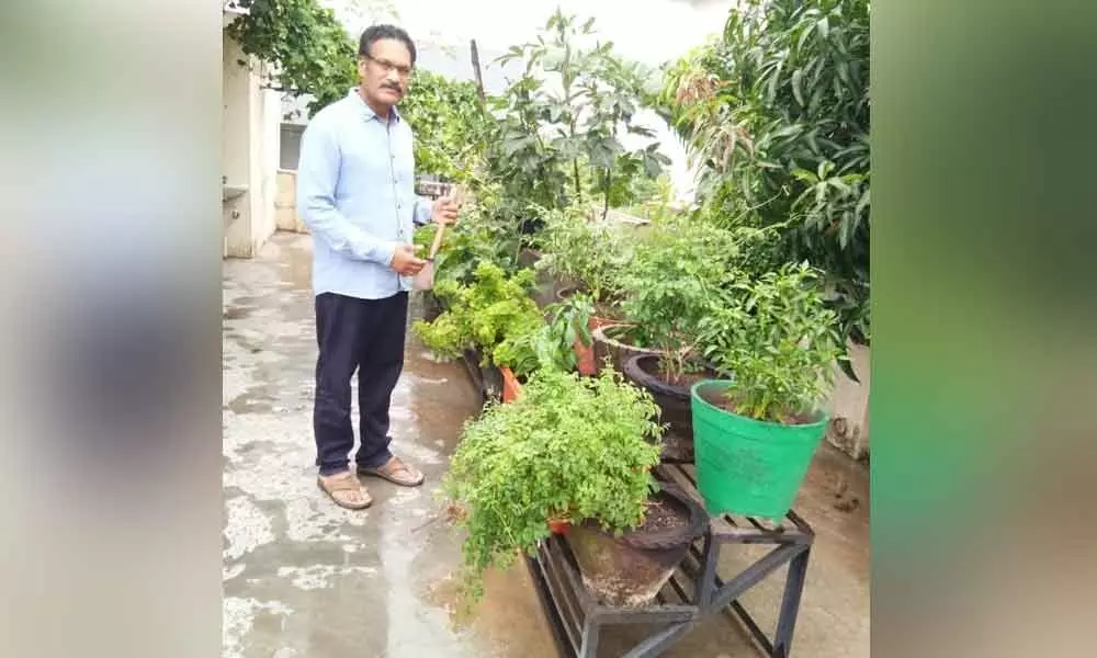 Vizianagaram: Former MP Sankara Rao grows organic veggies on terrace