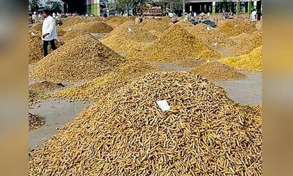 Nizamabad: Agricultural market to down shutter from today