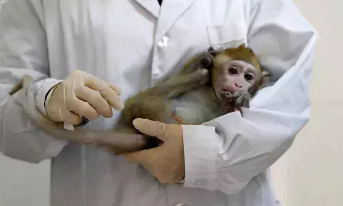 Vaccine tests on monkeys risk disease, warns PETA