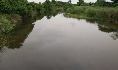 Relligadda rivulet without flood protection walls