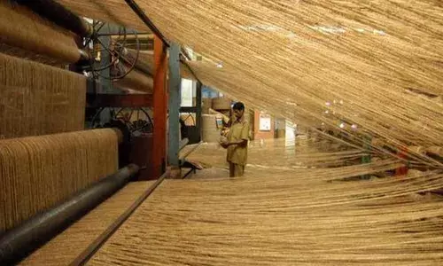 Export of coir, coir products for 2019-20 registers an all-time high record: Government