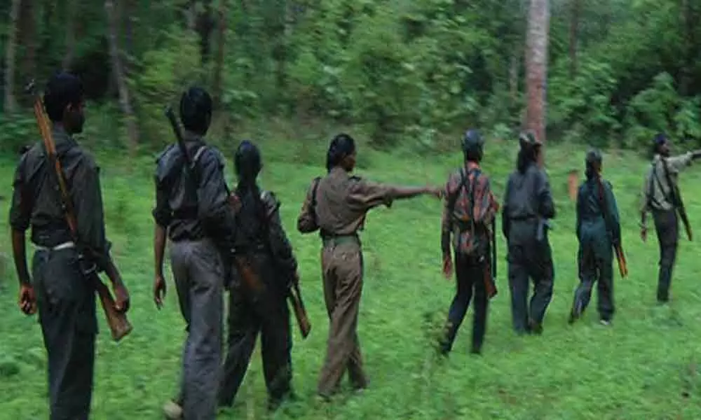 Telangana: Police teams conduct combing in Adilabad forests for Maoists
