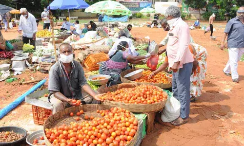 Vendors selling vegetables at NTR Municipal Corporation Stadium in Guntur on Monday