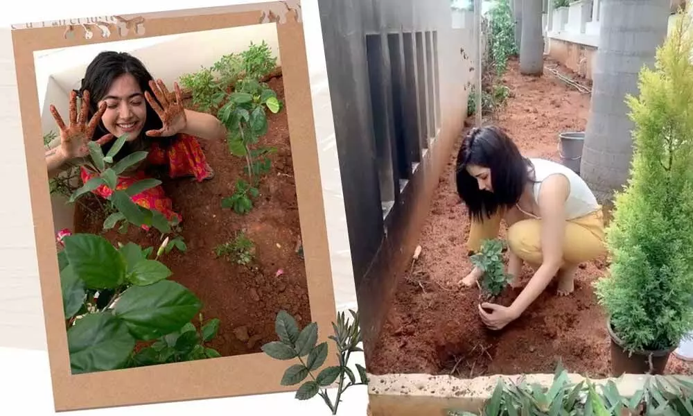 Raashi Khanna Accepts The Green India Challenge And Plants A Sapling