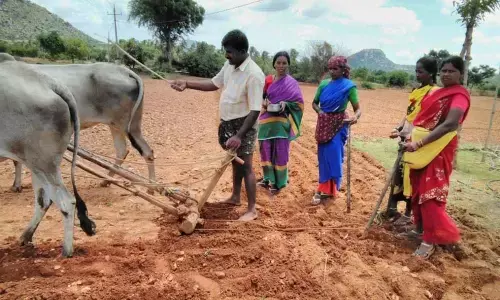 Picture for representational purpose only Picture for representational purpose only