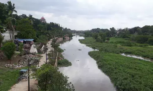 Their fate is sealed!