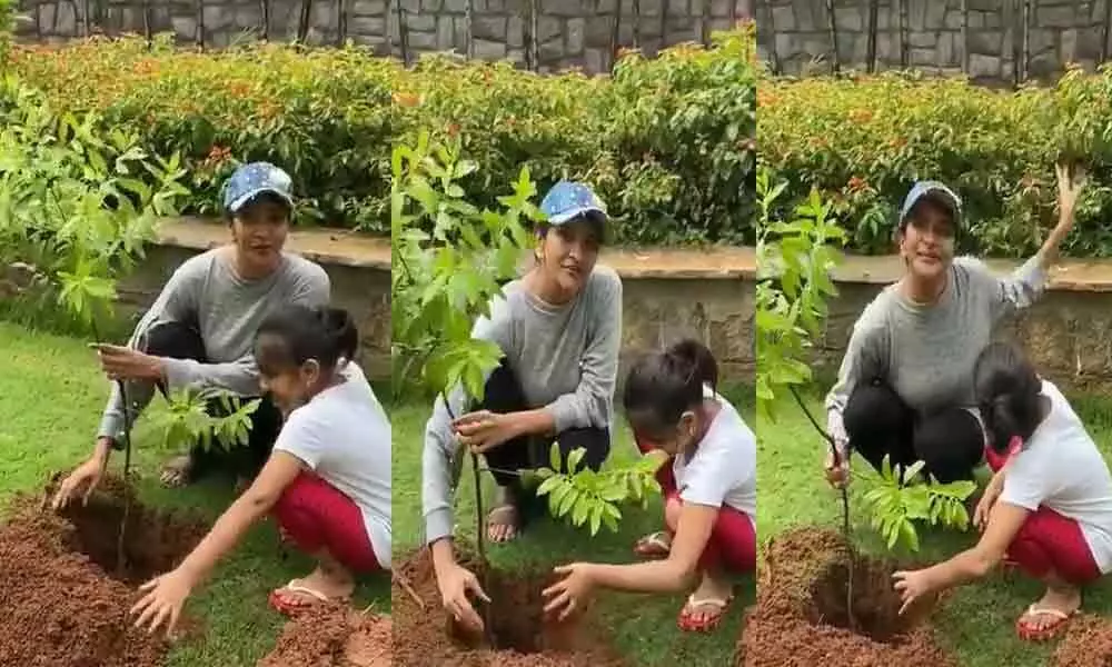 Lakshmi Manchu Accepts Green India Challenge And Plants A Sapling Along With Her Daughter
