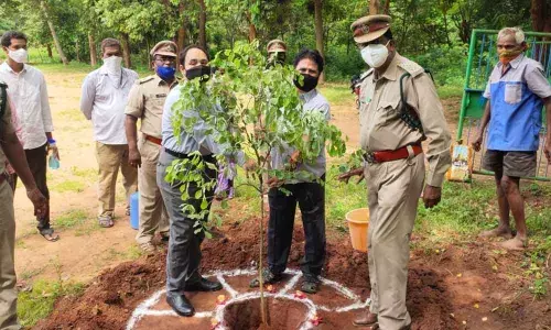 Assistant  conservator of forests Sri Hari Gopal planting saplings at Forest Academy in Rajamahendravaram on Wednesday