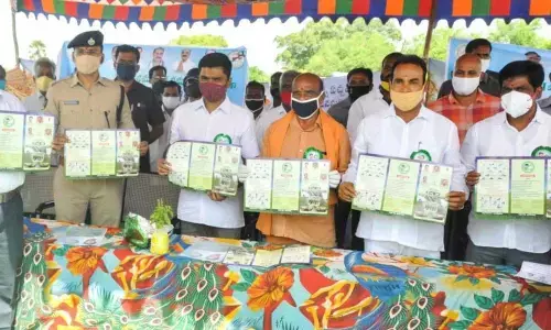 MP N Reddappa, District Collector N B Gupta and others during Vanamahotsavam programme in Chittoor on Wednesday