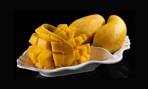 Lifestyle changes towards building immunity