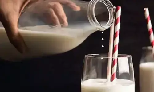 Plans afoot for another white revolution in Andhra Pradesh